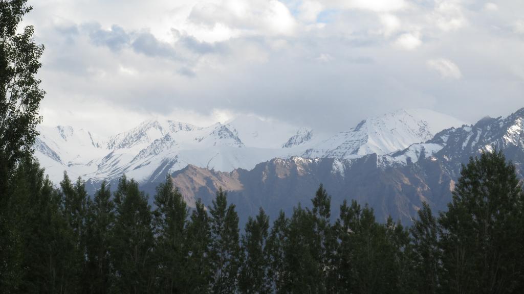 Streamlet Homestay Leh Exteriör bild